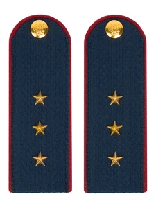 Погоны ФСИН на Китель звание Старший Прапорщик картон темно-синие 12 см