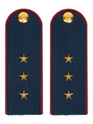 Погоны ФСИН на Китель звание Старший Прапорщик картон темно-синие 13 см