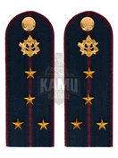 Погоны ФСИН на куртку картон (в сборе) укомплектованные с фурнитурой звание Капитан 12см