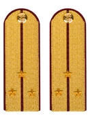 Погоны ФСИН парадные Старший Лейтенант картон цвет золотой 13см