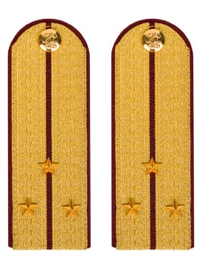 Погоны ФСИН парадные Старший Лейтенант картон цвет золотой 13см