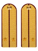 Погоны ФСИН парадные Лейтенант картон цвет золотой 13см