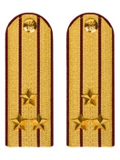 Погоны ФСИН парадные Полковник картон цвет золотой 13см