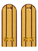 Погоны ФСИН парадные Подполковник картон цвет золотой 13см