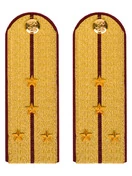 Погоны ФСИН парадные Капитан картон цвет золотой 12см