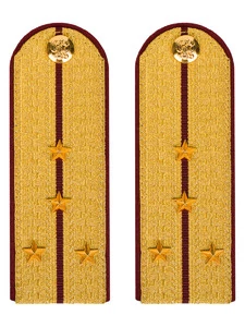 Погоны ФСИН парадные Капитан картон цвет золотой 12см