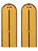 Погоны ФСИН парадные Младший Лейтенант картон цвет золотой 12см