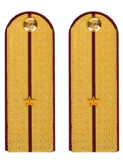 Погоны ФСИН парадные Младший Лейтенант картон цвет золотой 12см