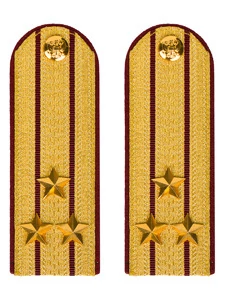 Погоны ФСИН парадные Полковник картон цвет золотой 12см