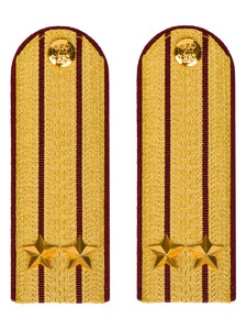 Погоны ФСИН парадные Подполковник картон цвет золотой 12см