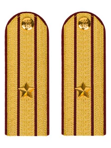 Погоны ФСИН парадные Майор картон цвет золотой 12 см