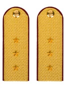 Погоны ФСИН парадные Старший Прапорщик картон цвет золотой 12см