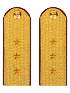 Погоны ФСИН парадные Старший Прапорщик картон цвет золотой 12см