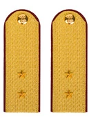 Погоны ФСИН парадные Прапорщик картон цвет золотой 12см