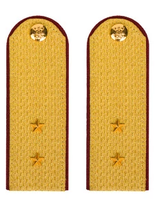 Погоны ФСИН парадные Прапорщик картон цвет золотой 12см