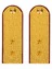 Погоны ФСИН парадные Прапорщик картон цвет золотой 12см