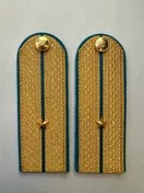 Погоны ФССП парадные золотые с фурнитурой звание Младший Лейтенант Картон 13см
