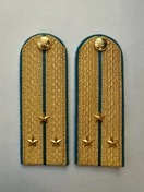 Погоны ФССП парадные золотые с фурнитурой звание Старший Лейтенант Картон 13 см