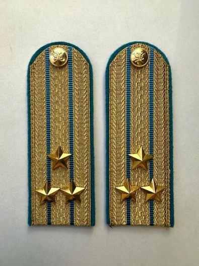 Погоны ФССП парадные золотые с фурнитурой звание Полковник Картон 13см