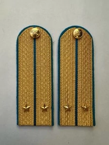 Погоны ФССП парадные золотые с фурнитурой звание Лейтенант Картон 12см