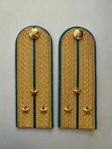 Погоны ФССП парадные золотые с фурнитурой звание Старший Лейтенант Картон 12 см