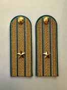 Погоны ФССП парадные золотые с фурнитурой звание Майор Картон 12см