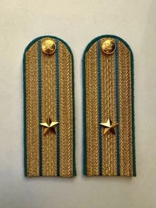 Погоны ФССП парадные золотые с фурнитурой звание Майор Картон 12см