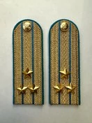 Погоны ФССП парадные золотые с фурнитурой звание Полковник Картон 12см