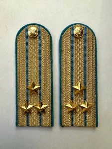 Погоны ФССП парадные золотые с фурнитурой звание Полковник Картон 12см