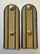 Погоны Юстиции золотые на китель Картон звание Майор 13 см