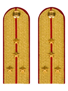 Погоны МВД парадные звание Капитан цвет золотой 13см