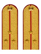 Погоны МВД парадные звание Старший Лейтенант цвет золотой 13 см