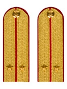 Погоны МВД парадные звание Лейтенант цвет золотой 13 см