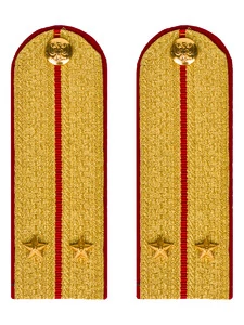 Погоны МВД парадные звание Лейтенант цвет золотой 13 см