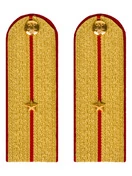 Погоны МВД парадные звание Младший Лейтенант цвет золотой 13 см