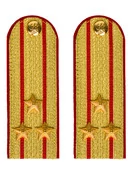 Погоны МВД парадные звание Полковник цвет золотой 13см