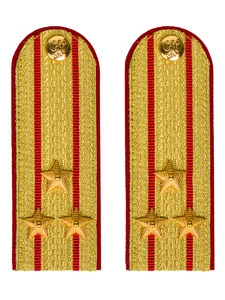 Погоны МВД парадные звание Полковник цвет золотой 13см