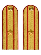 Погоны МВД парадные звание Майор цвет золотой 13 см
