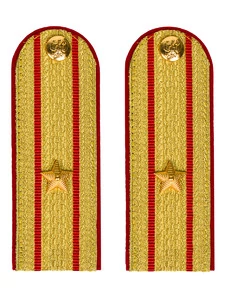 Погоны МВД парадные звание Майор цвет золотой 13 см