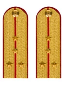 Погоны МВД парадные звание Капитан цвет золотой 12см