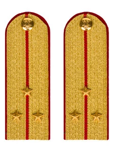 Погоны МВД парадные звание Старший Лейтенант цвет золотой 12 см