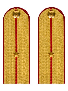 Погоны МВД парадные звание Младший Лейтенант цвет золотой 12 см