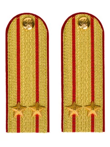 Погоны МВД парадные звание Подполковник цвет золотой 12 см