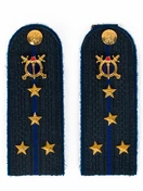 Погоны Юстиции в сборе на куртку картон 13 см звание Капитан