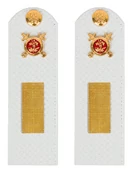 Погоны Полиции на рубашку белые КАРТОН Звание Старшина 12 см