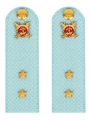 Погоны Полиции на рубашку голубые КАРТОН Звание Прапорщик 12см