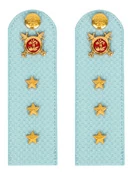 Погоны Полиции на рубашку голубые КАРТОН Звание Старший Прапорщик 12см