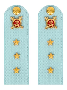 Погоны Полиции на рубашку голубые КАРТОН Звание Старший Прапорщик 12см