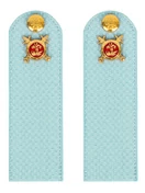 Погоны Полиции на рубашку голубые КАРТОН Звание Рядовой 12 см