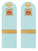 Погоны Полиции на рубашку голубые КАРТОН Звание Ефрейтор 12см